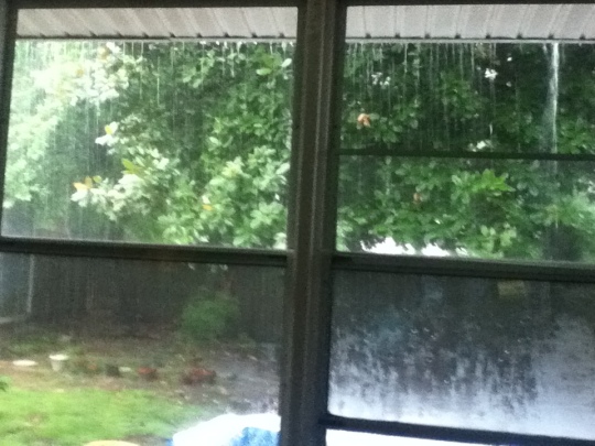 Rain falling from the gutters